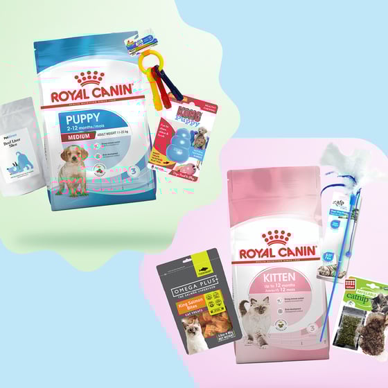 Pawsome prize packs