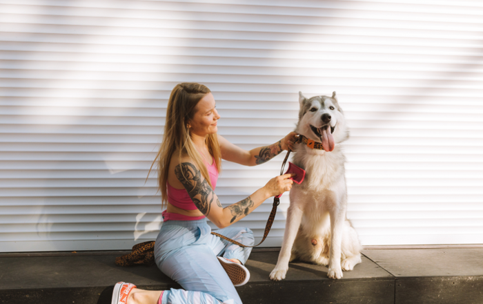 Double coated breeds like huskies need more grooming in spring Double coated breeds like huskies need more grooming in spring