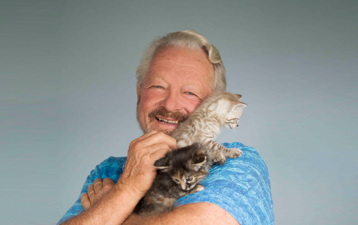 Kittens in formative period Kittens in formative period