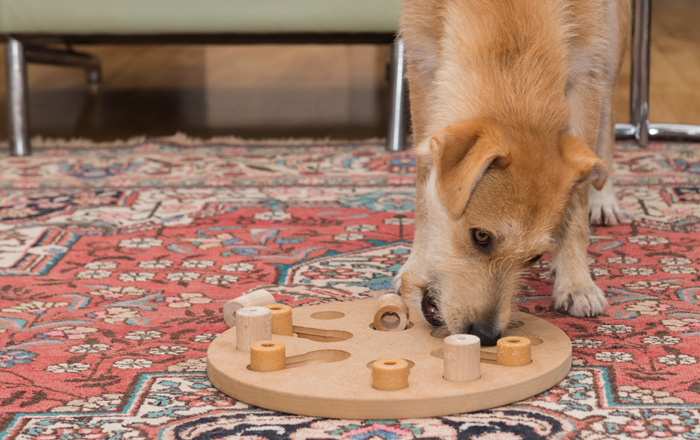 Puzzle for mental stimulation Puzzle for mental stimulation