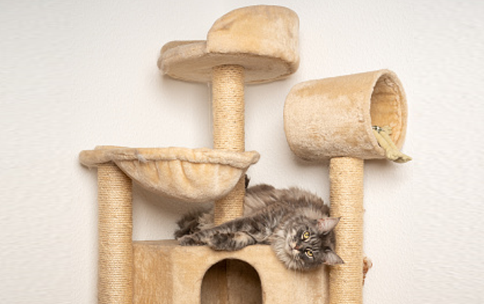 Scratching tower Scratching tower