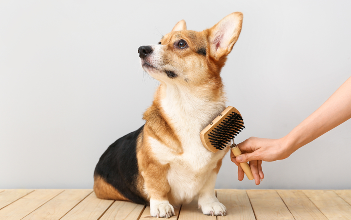 Start by using the back of the brush Start by using the back of the brush