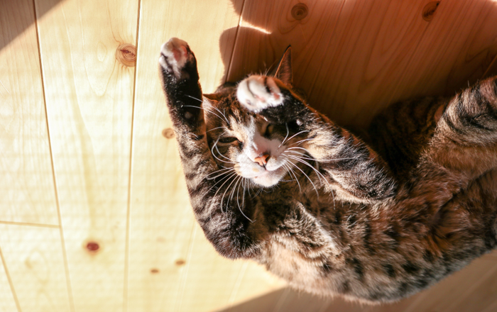 Sunbathing Sunbathing