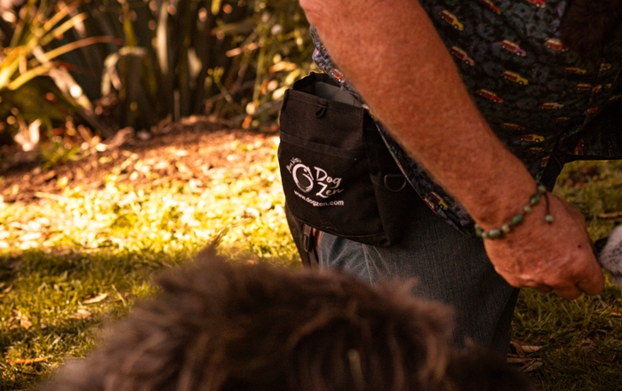 Training pouch Training pouch