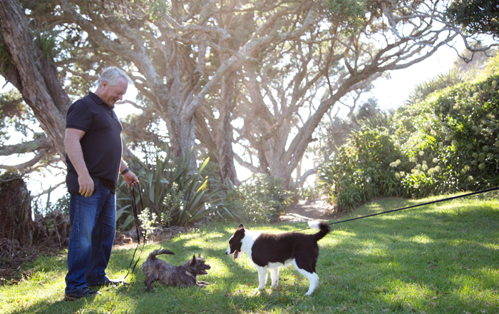 Use dog role models Use dog role models