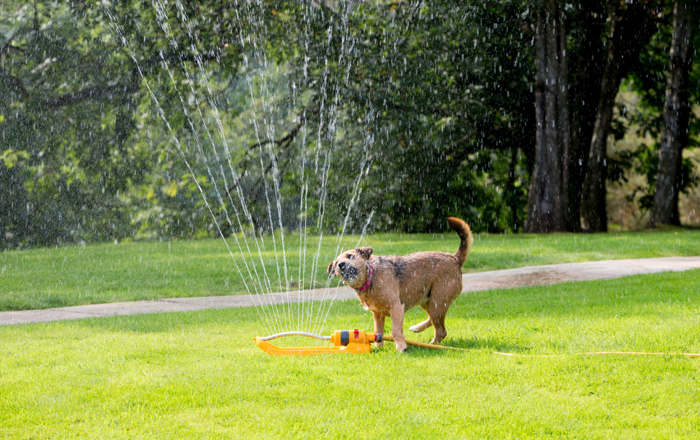 Water play Water play