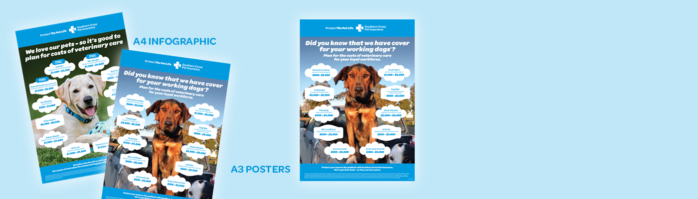 SCPI Working Dog Infographic and Poster